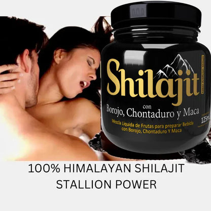 Energía Pura Himalaya Shilajit