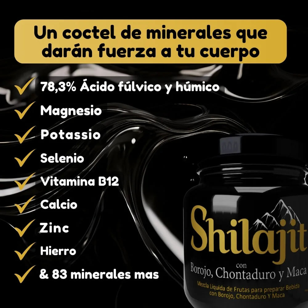 Energía Pura Himalaya Shilajit