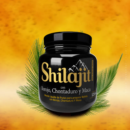 Energía Pura Himalaya Shilajit