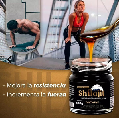 Energía Pura Himalaya Shilajit